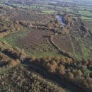 영국2농장 이미지