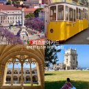 26260-10-21-008 | 리스보아 카드 구매 방법 교환처 사용법, 교통 관광비 반값 후기