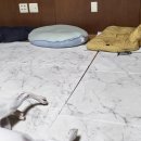 쿠이다르 이미지