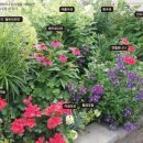 봄정원디자인 이미지