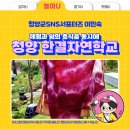 한결자연학교 네이버블로그