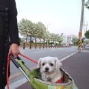 래플즈동물병원 이미지