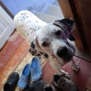 나드리민박 이미지