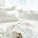 보송 이미지