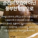 스위트허브 | 편강율 키즈 앤 베이비 로션 스위트허브, 590ml로 아기 피부도 촉촉하게! 🌿