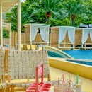 일랑일랑 스테이 이미지