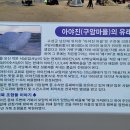 터틀카페 이미지