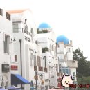 대가포도농원 이미지