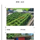 엄다면사무소 이미지