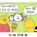 스테이하시니 이미지