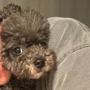 선흘정류장 이미지