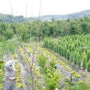 관정목장 이미지