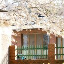 거북이마을 이미지