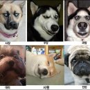 표현상사 이미지