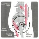 대성휘트니스헬스 이미지