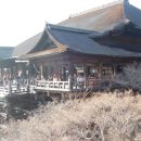 릅가