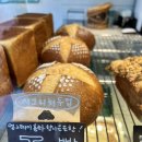 베이커리토드 | 양재천 카페 숨은 빵 맛집 ‘베이커리 토드’ 솔직후기