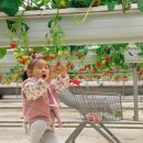 하나뜰농장 이미지