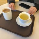 삼싹농장 | 사월 일기 2 : 4/10 - 4/19