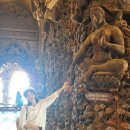 비고리조트 16 이미지