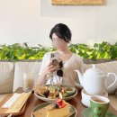 박하약국 | 네일샵→bartels(바르텔스)→ 쇼핑(GU Shop)→ 약국→ 롯데호텔 망고빙수→ 마사지샵추천→ 야식(배달)