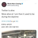 폭풍회관
