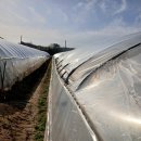 태양아구찜 | 짠돌이 김자코의 3월 넷째주 일상 일기 - 제주 출장 &amp; 부을라