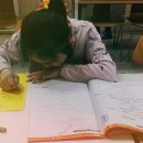 윤선생영어숲익산학원 이미지