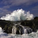 금남초등학교 총동문회에 마니 참석해 주세요.. 이미지