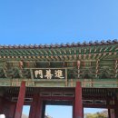 선경아헤어 | 조금 많이 늦은 레드북(25.11.19) 후기
