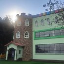 도그다움 이미지