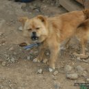 외딴농장 이미지