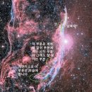 위드호핑 이미지