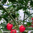 창곡주유소 이미지