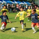 엠케이홀딩스 이미지