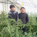 상월 농장 이미지