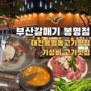 부산갈매기 | 대전 봉명동 맛집 부산갈매기 가성비 고기 맛집 방문 후기