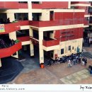 안녕,고양이 이미지