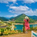 동해시-50 이미지