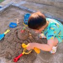 장등을 밝히다 이미지