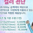 디바인 컴퍼니