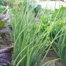 노을지는농장 이미지