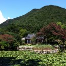 진도 운림산방 이미지