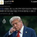 속보) 트럼프, 폭스 뉴스에: 만약 이란이 호르무즈 해협을 폐쇄한다면 이란 협상가들은 자국으로 돌아갈 수 없을 것 이미지