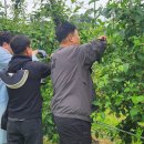 강릉시농업기술센터 이미지