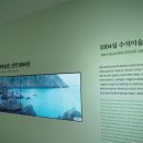 1004섬수석미술관 | 자연이 만들어준 작고 아름다운 돌, 수석!! [1004 뮤지엄 파크 - 1004섬 수석미술관&amp;수석정원]