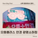 새로안안경 | 광명 안경 새로 맞추고 왔는데 기능성 안경 기대되는 이유, 으뜸플러스안경 광명소하점