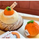 오로지애월 이미지