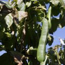 보민농장 이미지