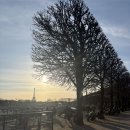 뉴오스카노래연습장 | 20260315-19 파리 회사원 일상 - 1구 Bar &amp; Lounge Le Charles, 7구 Le Campanella